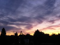 IMG_6772.JPG