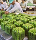 square-mellon.jpg