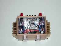 finished amp.jpg