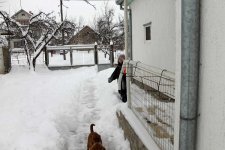 IMG_1027.jpg