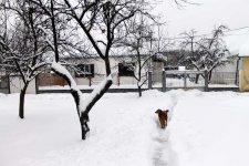 IMG_1033.jpg