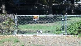 beware of dog.jpg