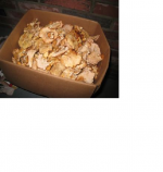 Chantrelles.png