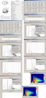 TIW-250-XS-8 OHM.JPG