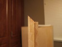 IMG_3230.jpg