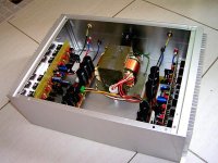 Junnie Precision 1.jpg