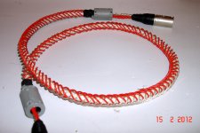 aurora ic kk d.jpg