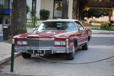 DSC_1515.jpg