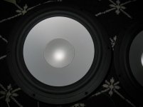IMG_0005.JPG