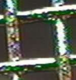 bare close up.jpg