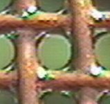 Primer and Clear close up.jpg