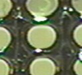 PC and Clear2 close up.jpg