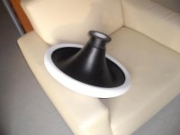 horn3.jpg