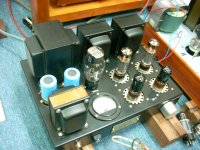 EL34-100V-R-1.jpg