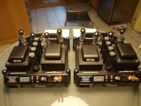 Manley Snapper 100W rear.jpg