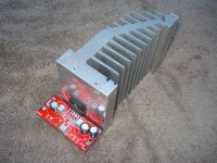 Chip7.JPG