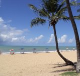 A piece of Paradise - Pernambuco - Recife - Brasil.jpg
