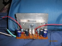 LM3886 Gainclone by edgar board.jpg