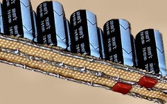 Ladderback Row.jpg