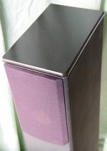 Pensil P70.3 2012 IMG_0025.JPG
