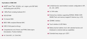 Infineon XMC4500.JPG