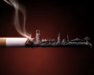 Cigarette.jpg