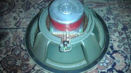 IMAG0105.jpg