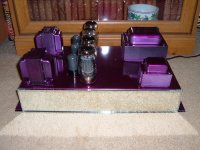 LC Purple.JPG