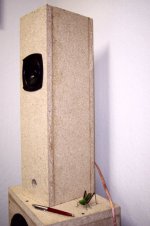 locust i.jpg