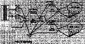 nina-psu.gif