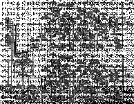 ag9016.gif