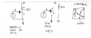 cpy-3.jpg