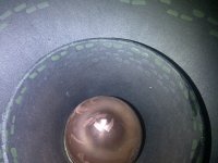 IMG-20120111-00207.jpg