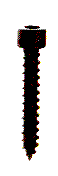 screw.gif