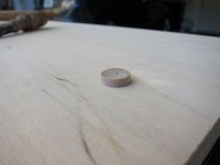 IMG_3316.jpg