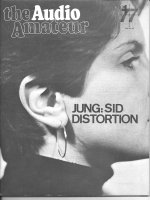 SID Distortion.jpg