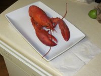 IMG_0966.jpg