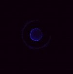 toroid_corona.jpg