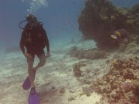 DIVE 049.jpg