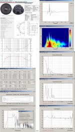 DBS_PS1205-8_TH_1.JPG