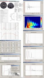 DBS_PS1205-8_T-TQWT_2.JPG