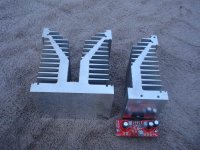 Chip4.JPG