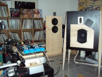 Paradise session 2.jpg