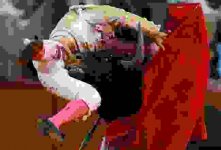 Low resolution.jpg