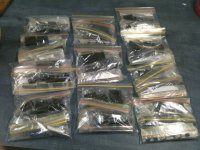 kits gaggle.jpg