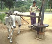 ox_mill_small.jpg