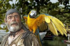 chi_parrot_450x300.jpg