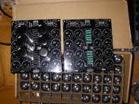 IMGP7535.JPG