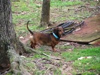 IMG_0353.JPG