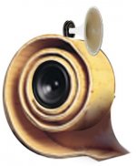 nautilus-bass-horn.jpg